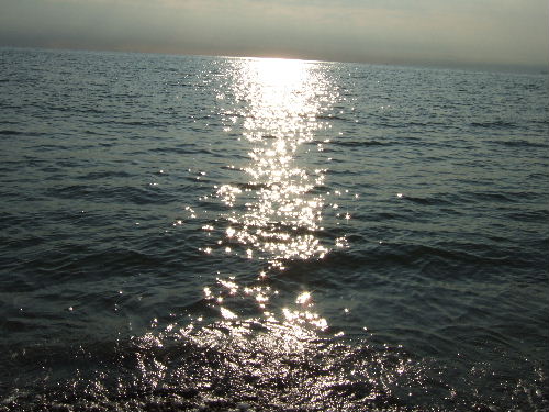 2006_1026お誕生日0041.JPG
