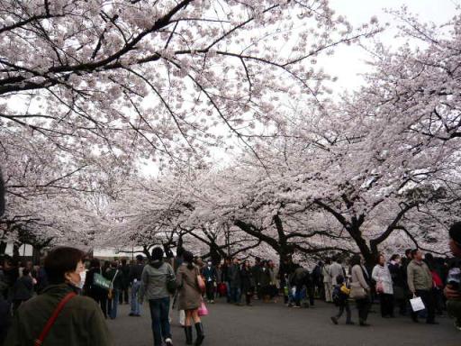 北の丸公園入り口