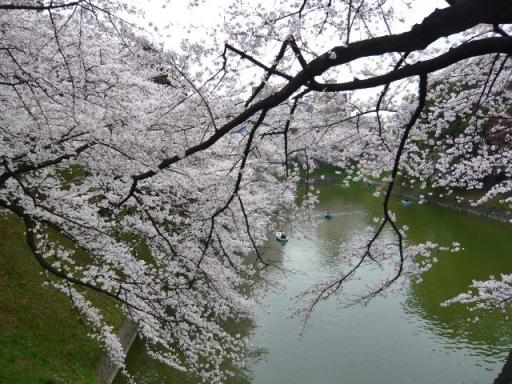 北の丸公園