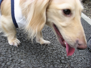 いっ”息が・・・