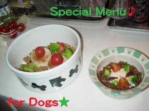 SP menu4dogs