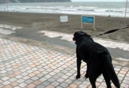 Waves are calling me