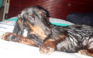 だって気持ちいいんだもん