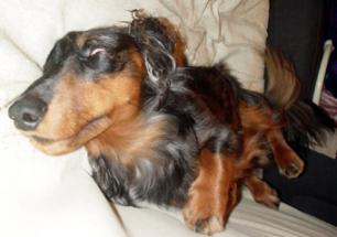 やっぱり怖い顔