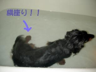 bath2.5