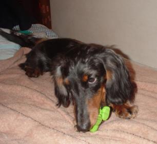 ちょっとおもちゃ