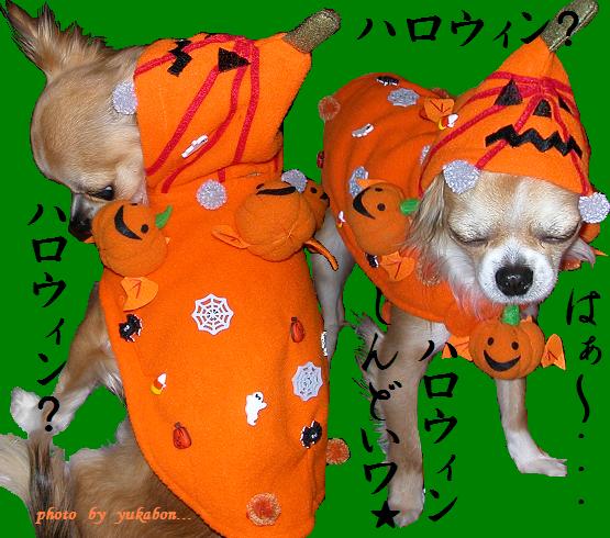 ハロウィンって？