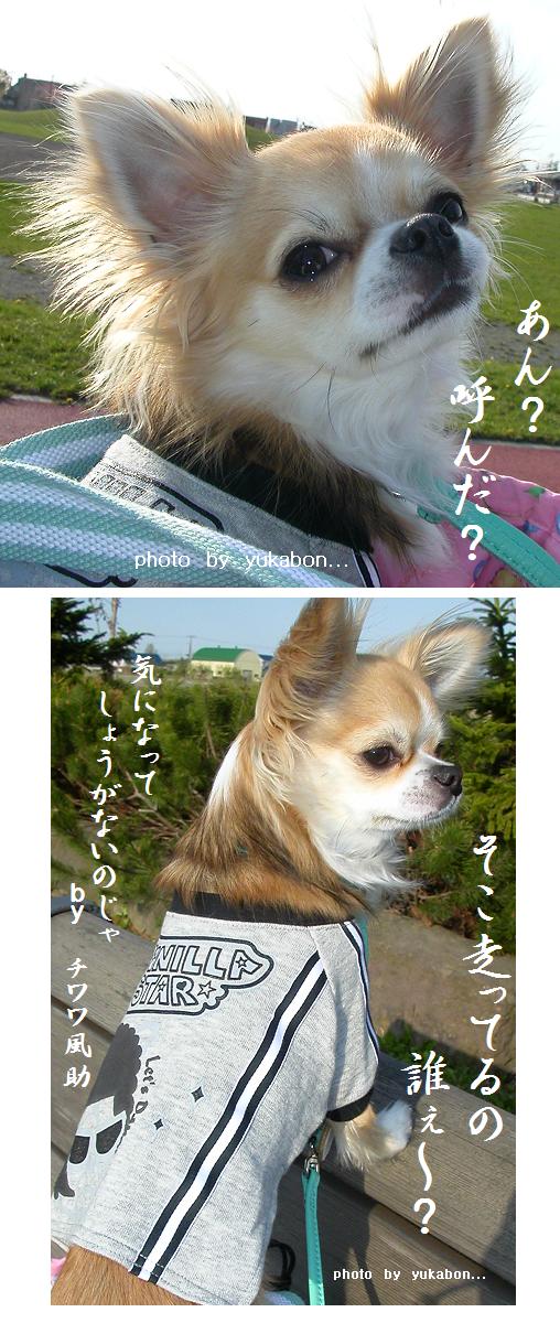 気になる訳ぇ。