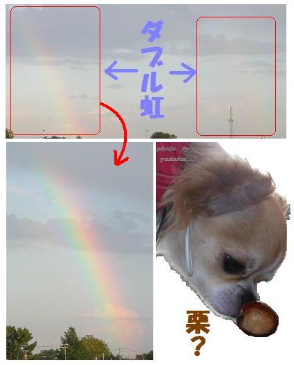 ダブル虹！
