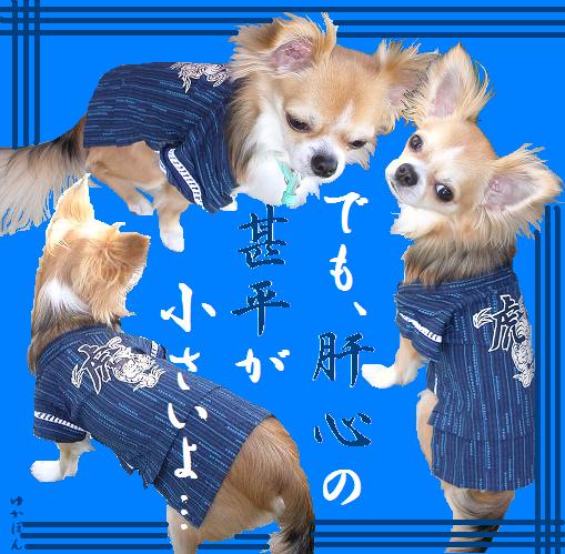 でも小っちゃ★