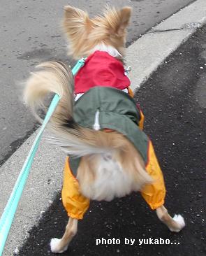 がに股で威嚇？