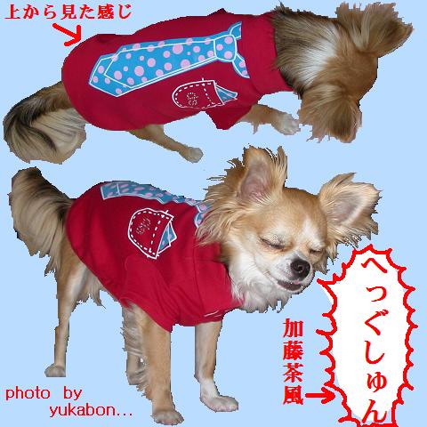 へっぐしゅん☆