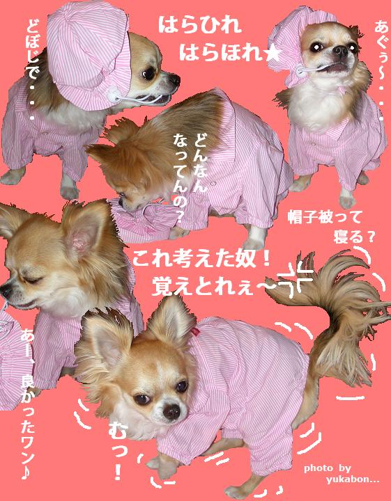 どうにかちて！