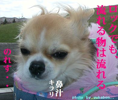 ロックな鼻汁？