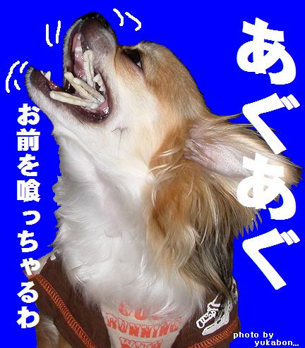 喰っちゃうぞ★