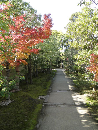 好古園　苗の庭