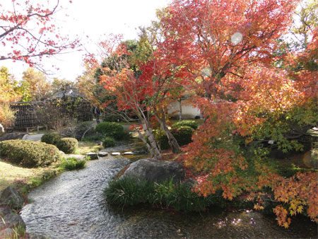 好古園「流れの平庭」紅葉