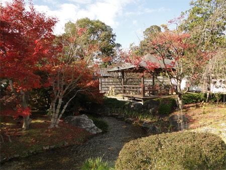 好古園「流れの平庭」紅葉