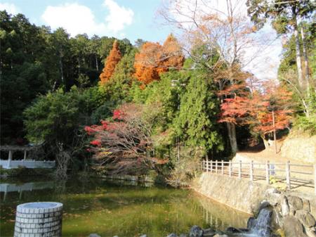 もみじ山
