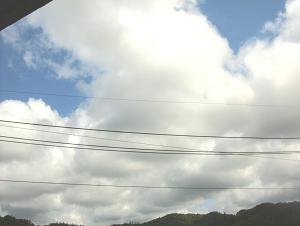 夏の空