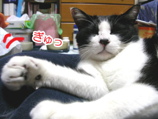 5-21-5-hige.jpg