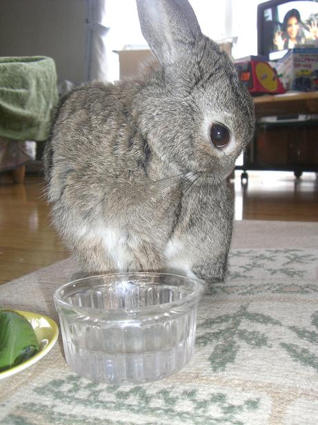 おりこうさんって言われたよ