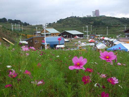 雲谷スキー場