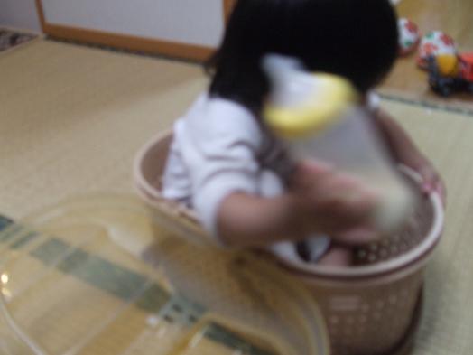 ちょっと、はいしゃく