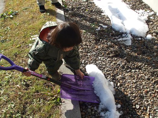 雪もこれくらいなら良いのにな・・