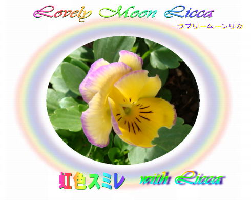 りかちゃんパンジーの「ラブリームーンリカ」が咲き出しました。 「小さな花宇宙」そして それから「老いふたりの小宇宙」 楽天ブログ