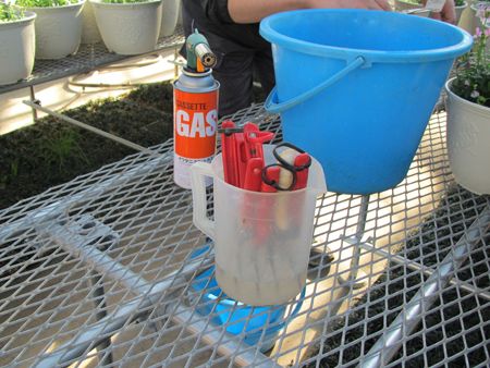 千葉大学花卉苗生産ブログからの画像