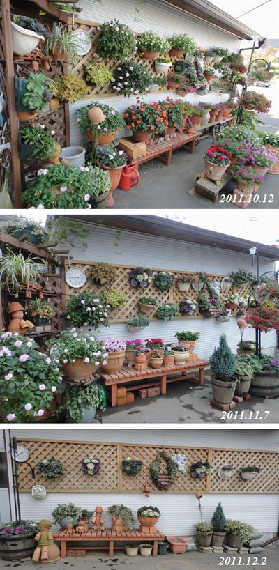 マイガーデン10月～12月