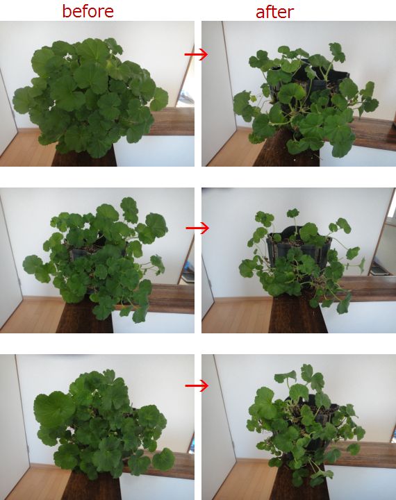 ウオールバスケットのピンチ