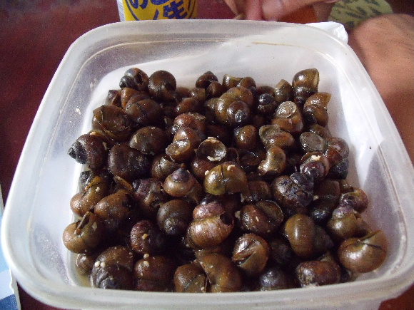 タニシの味噌煮