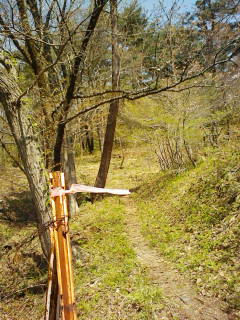 佐渡の山道の道しるべ