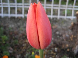 IMG_4300.JPG