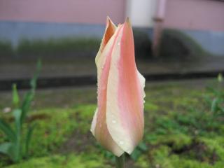 IMG_4351.JPG
