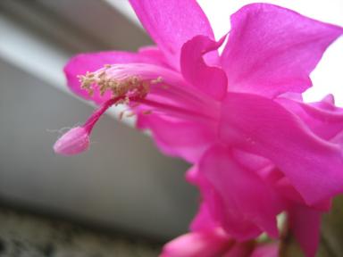 IMG_3089.JPG