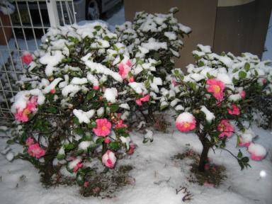 IMG_2745.JPG
