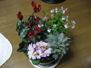 IMG_2663.JPG