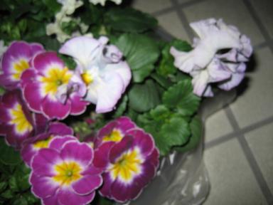 IMG_2477.JPG
