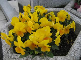 IMG_4192.JPG