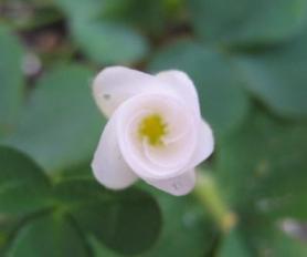 IMG_4181.JPG