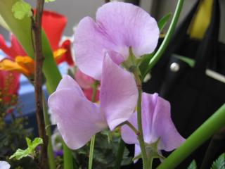 IMG_3856.JPG
