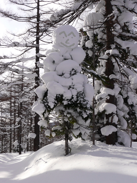 雪に埋まった木々達2.jpg