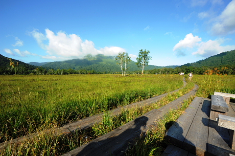 20110828尾瀬2.jpg