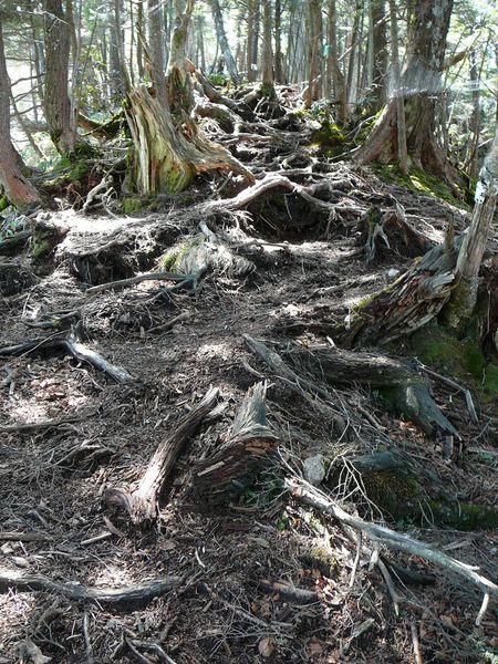 皇海山（百名山）よりおススメ、鋸山