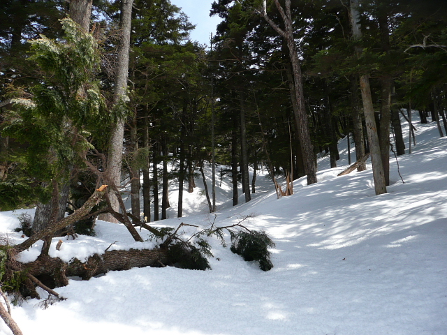 雪崩地形1.jpg