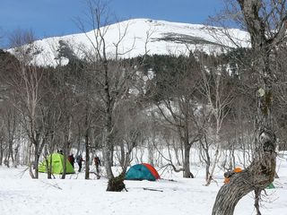 ゴールデンウイーク尾瀬ヶ原情報