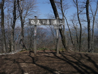 仙人ヶ岳山頂